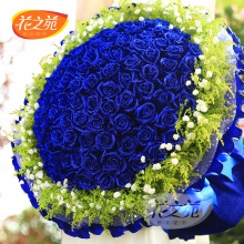 99朵蓝色妖姬蓝玫瑰花束鲜花北京上海济南速递杭州重庆鲜花店送花